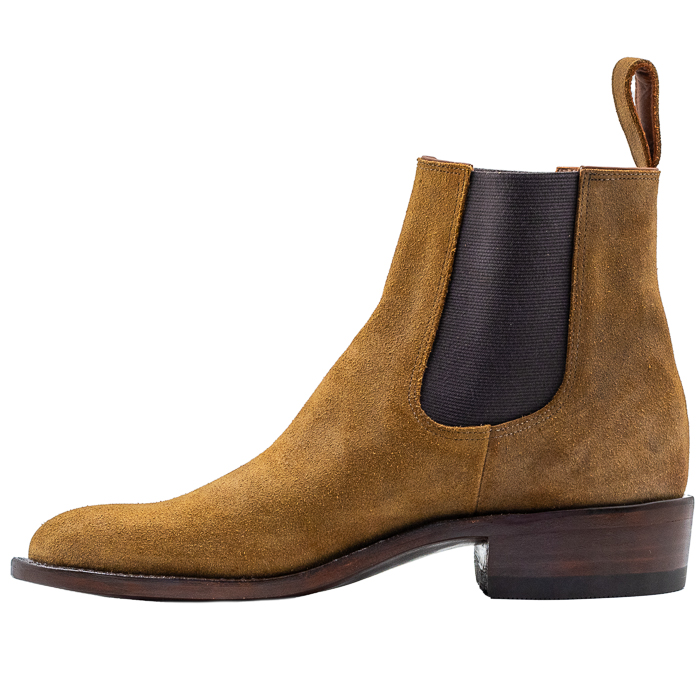 KEMO SABE GRIT OLIVE COMANCHE PADDOCK