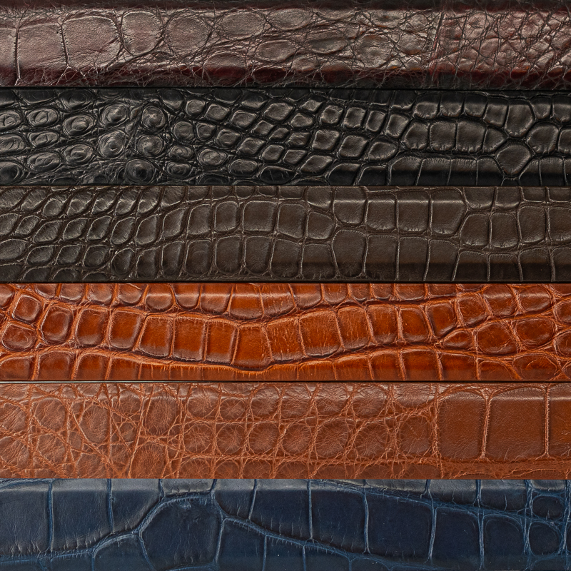 1.5-INCH ALLIGATOR BELT